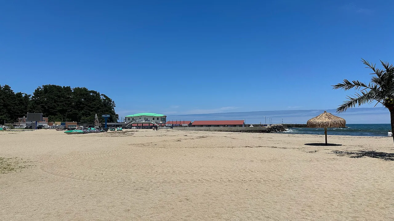 낙산해수욕장의 백사장과 파도 풍경