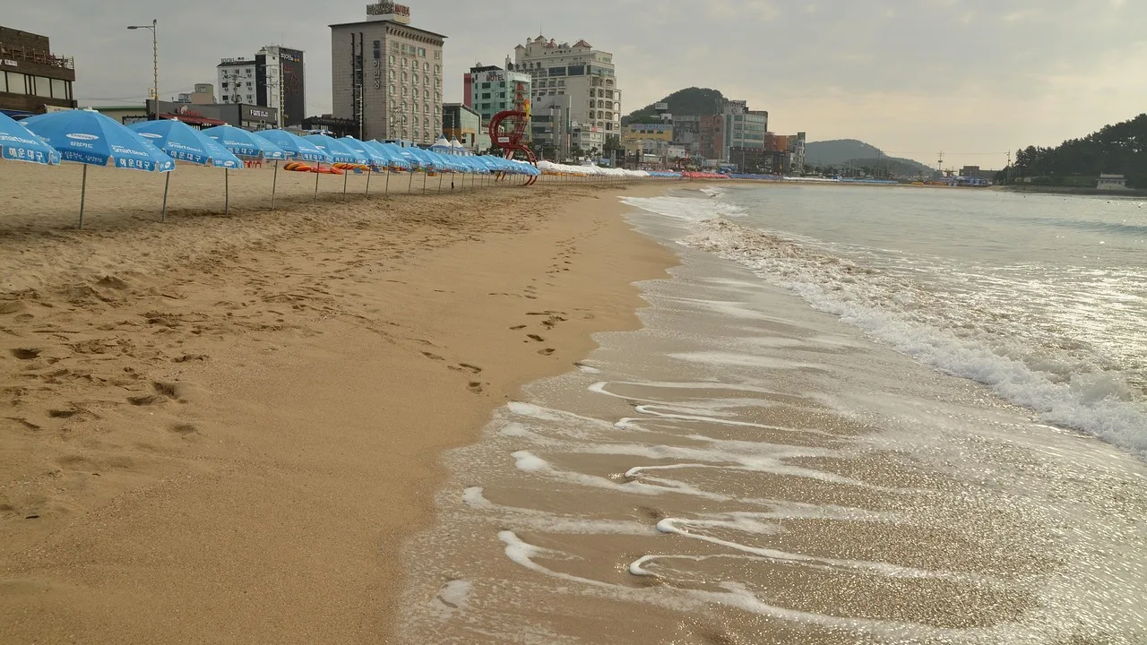 동해권 해변 피서를 떠올리게 하는 모래사장 풍경